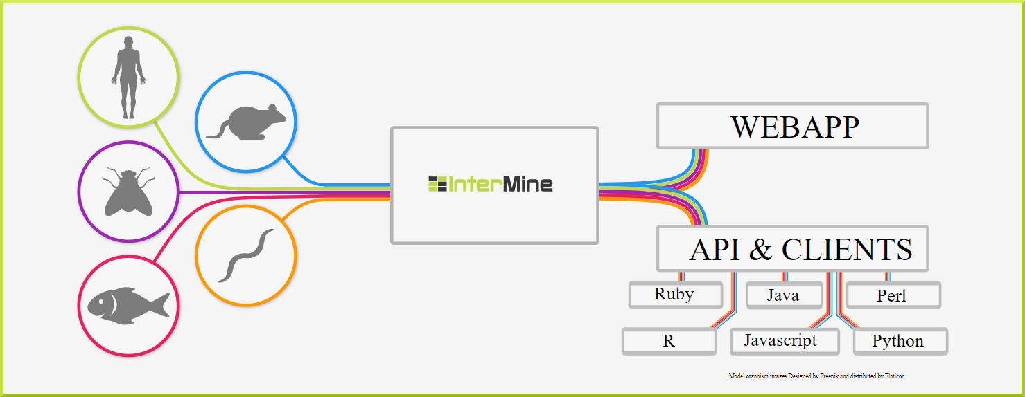 What is InterMine?