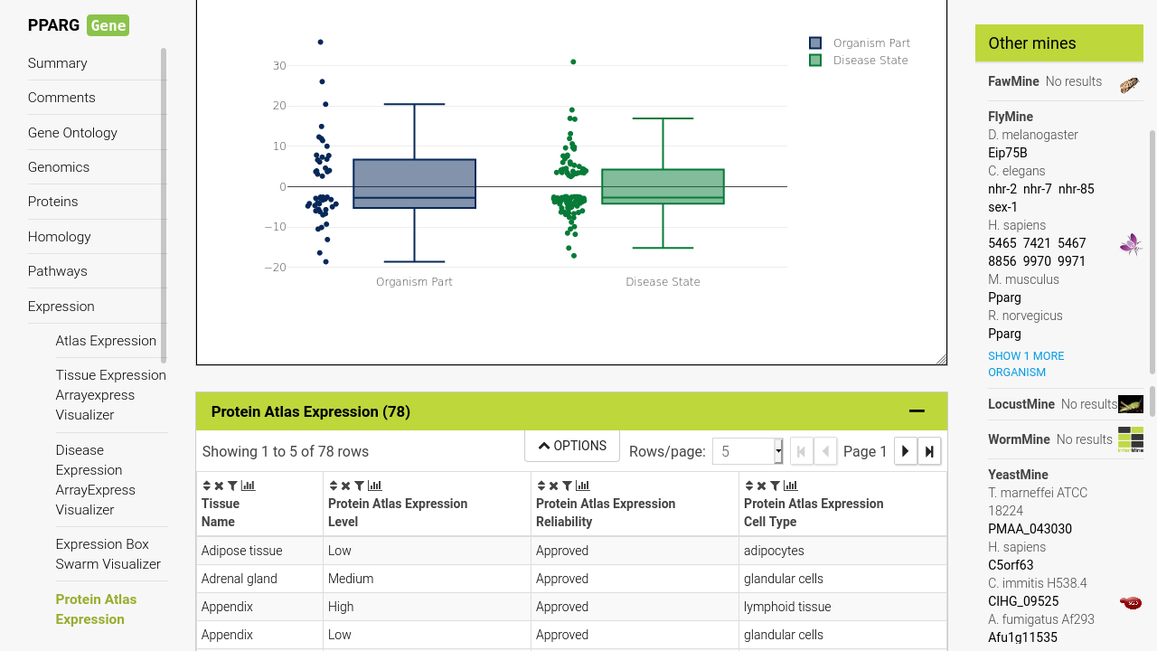 Analyse objects through rich reports